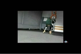 سكس نساء كبار وحيونات لتنزيل لنوكيه